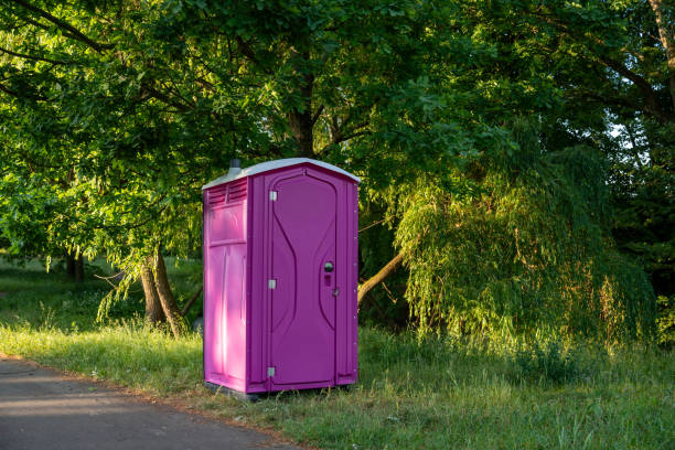 Portable Toilet Options We Offer in Lake Isabella, MI